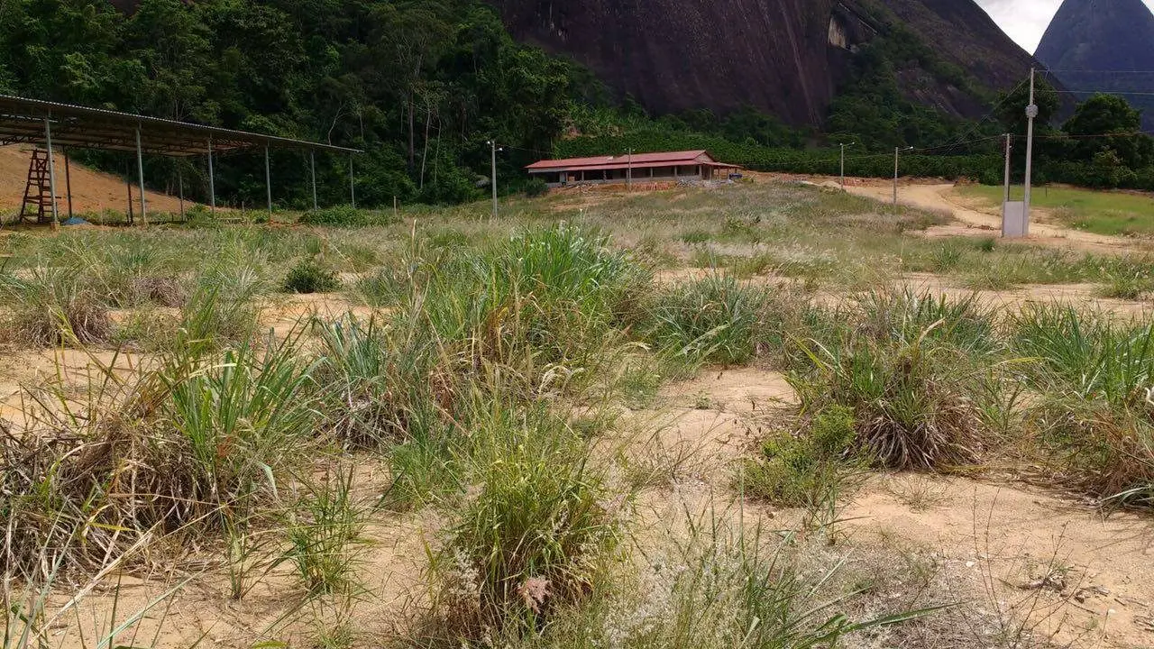 Rancho Trevo Franquiani
