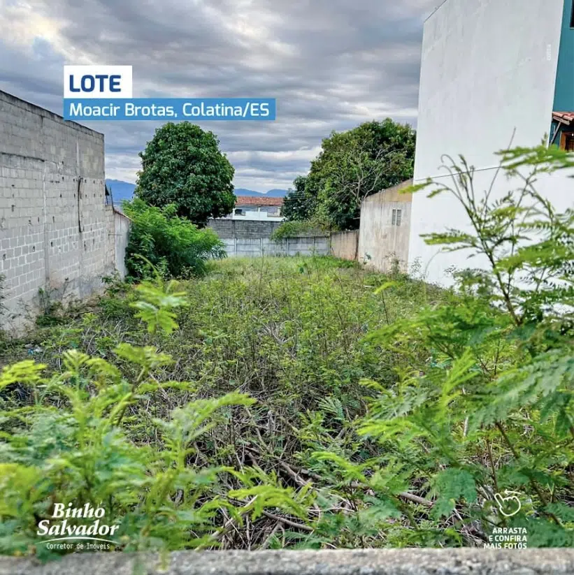 Lote Moacir Brotas