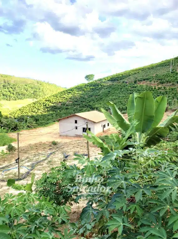 Terreno Rural
