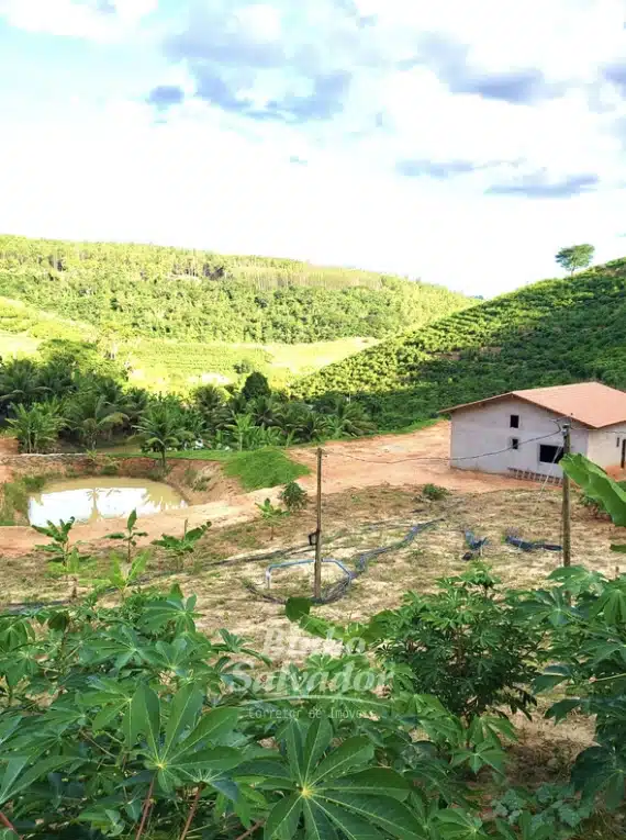 Terreno Rural