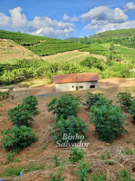 Terreno Rural
