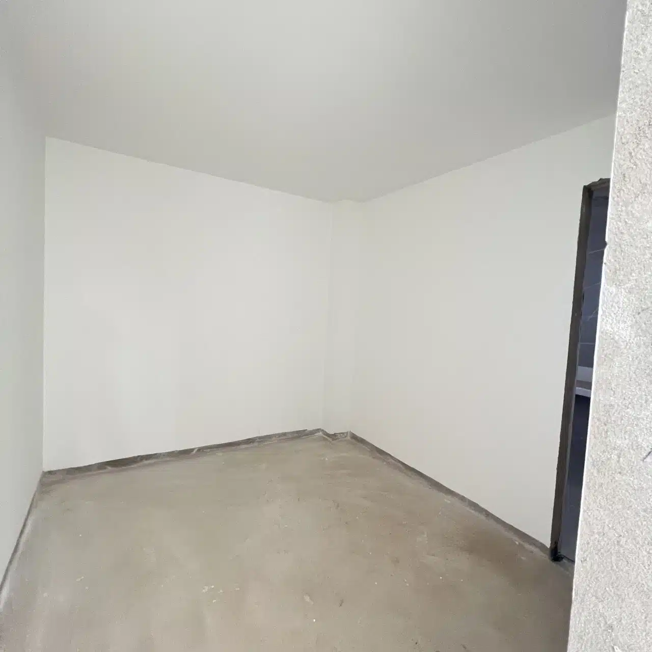 Casa Linear
