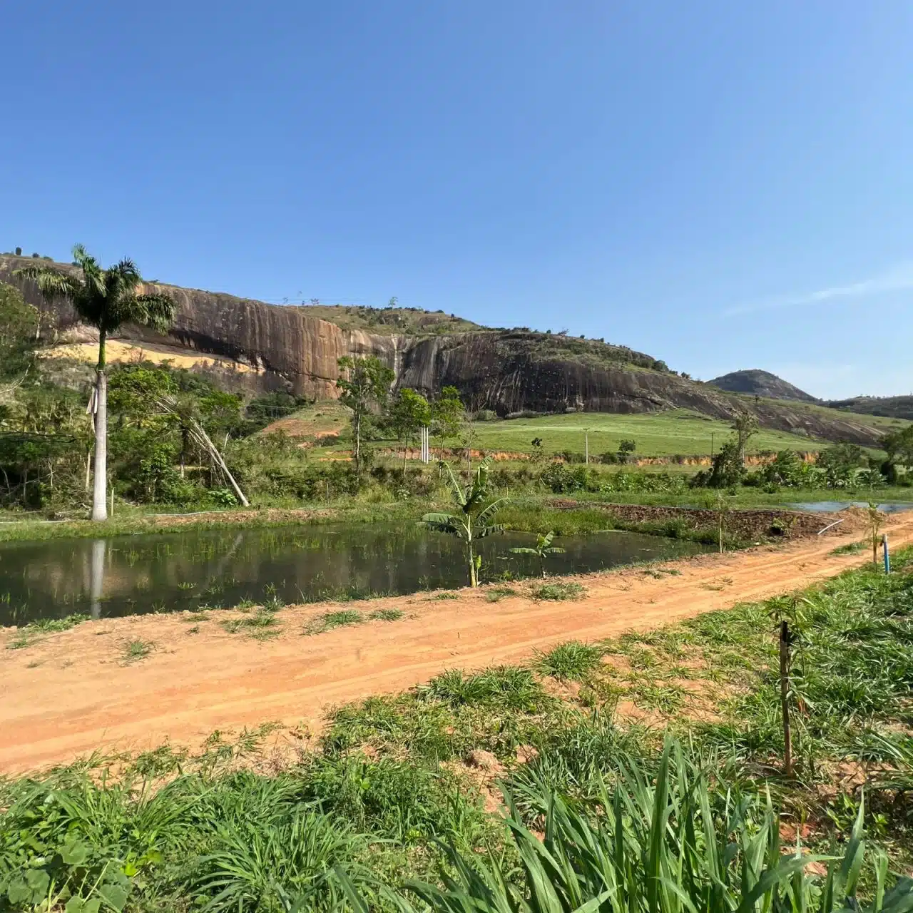 Recanto do Jequitibá