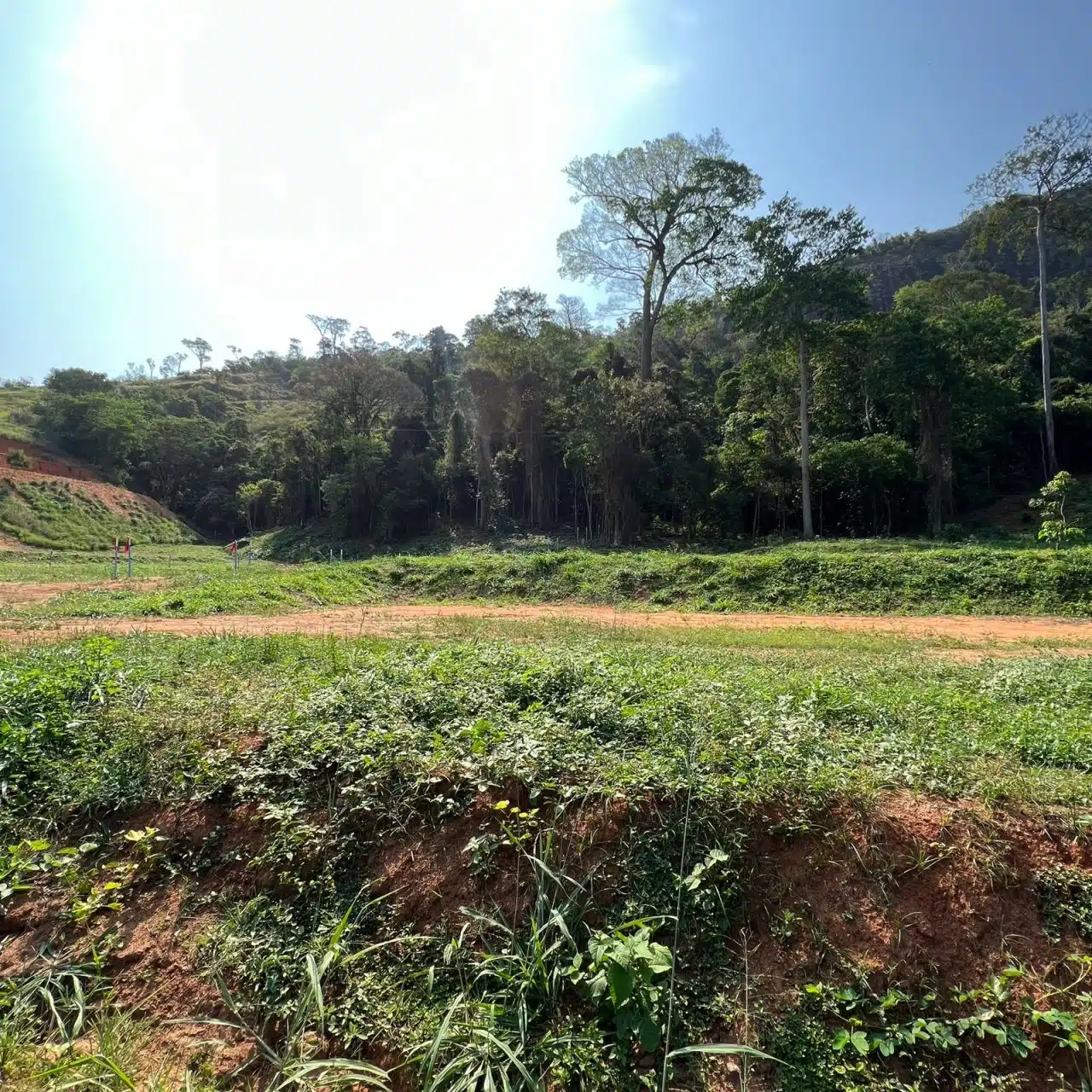 Recanto do Jequitibá