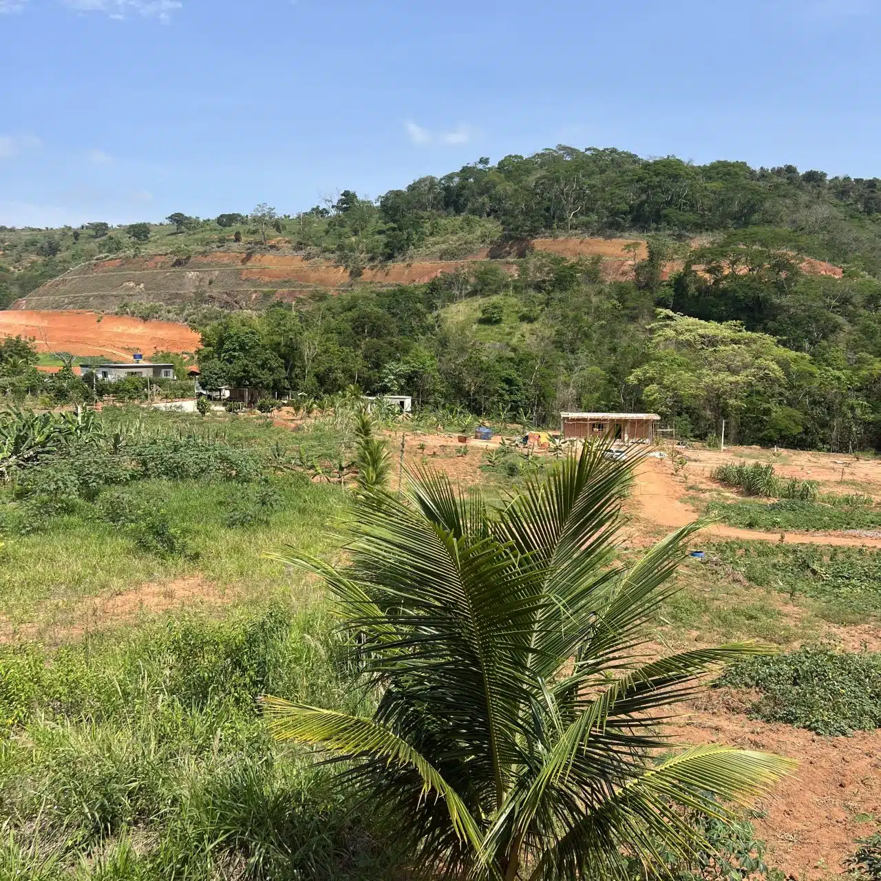 Recanto do Jequitibá