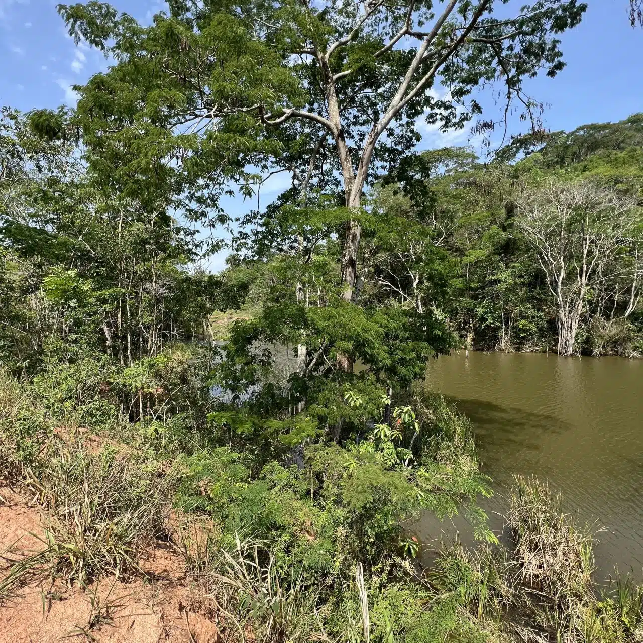 Recanto do Jequitibá