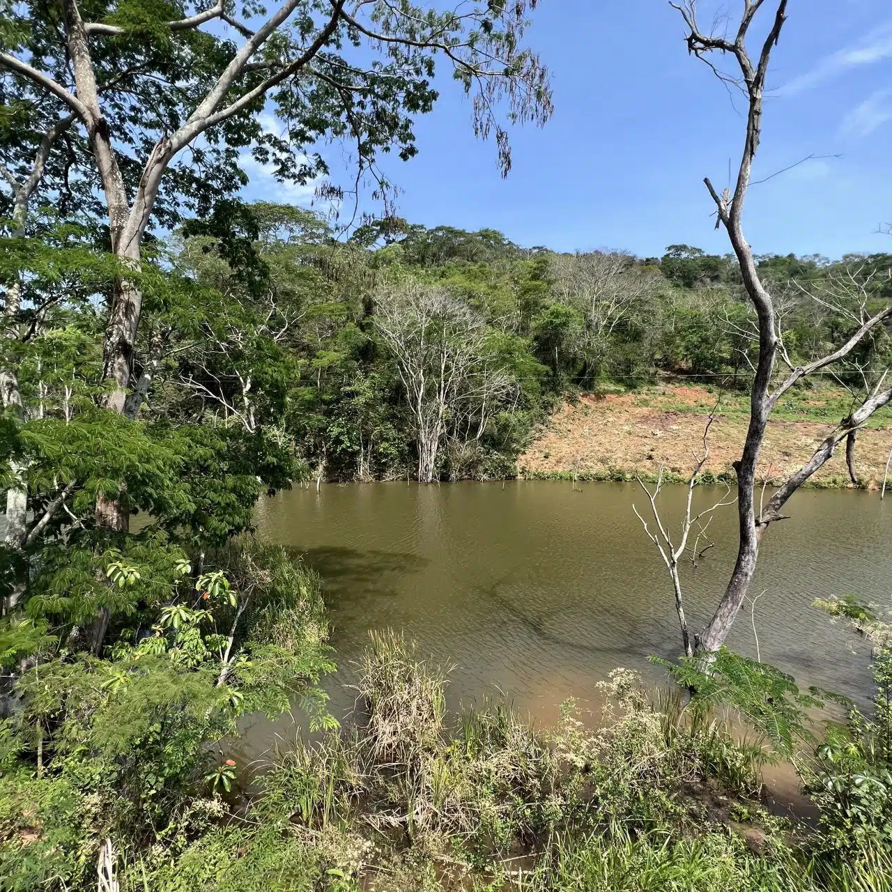 Recanto do Jequitibá