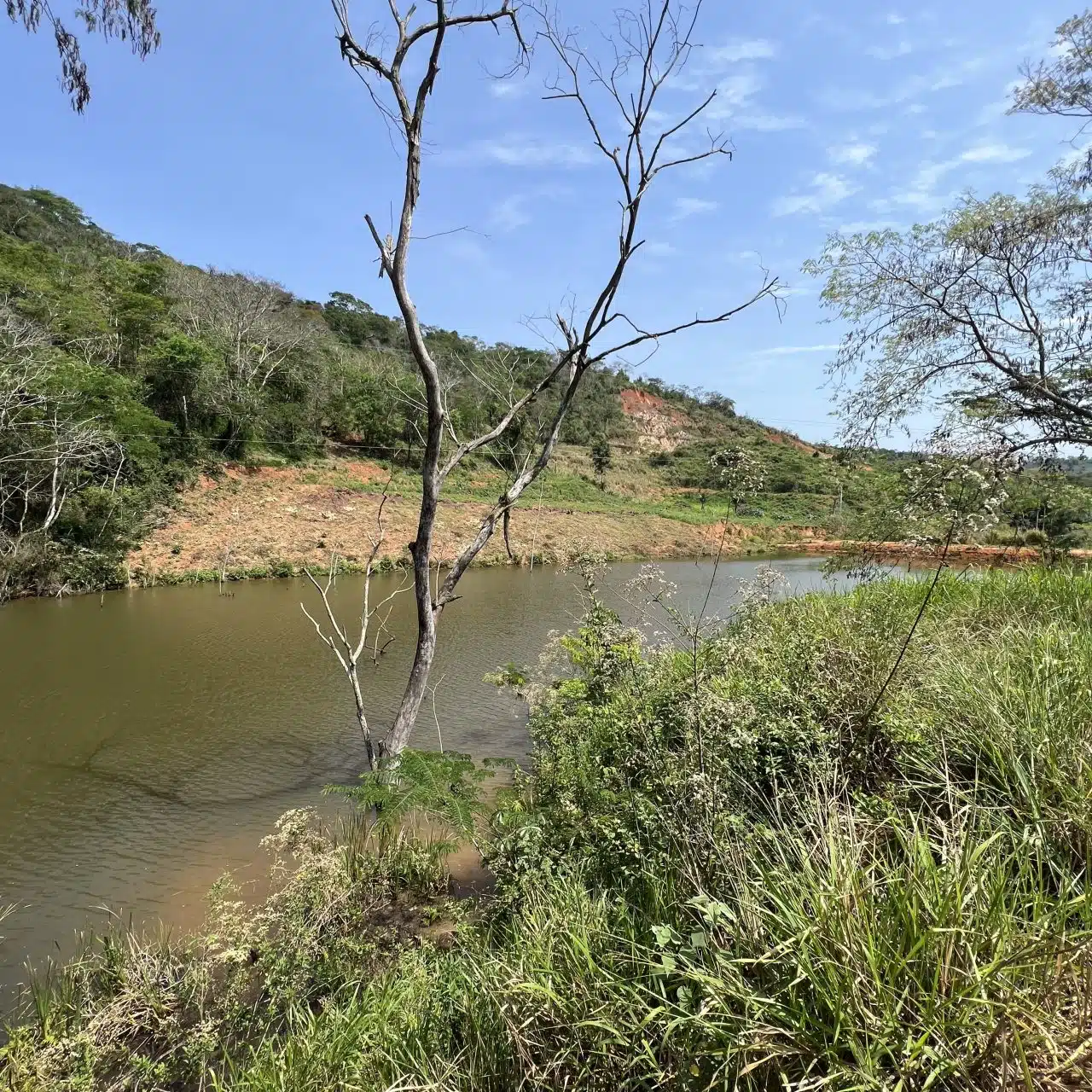 Recanto do Jequitibá