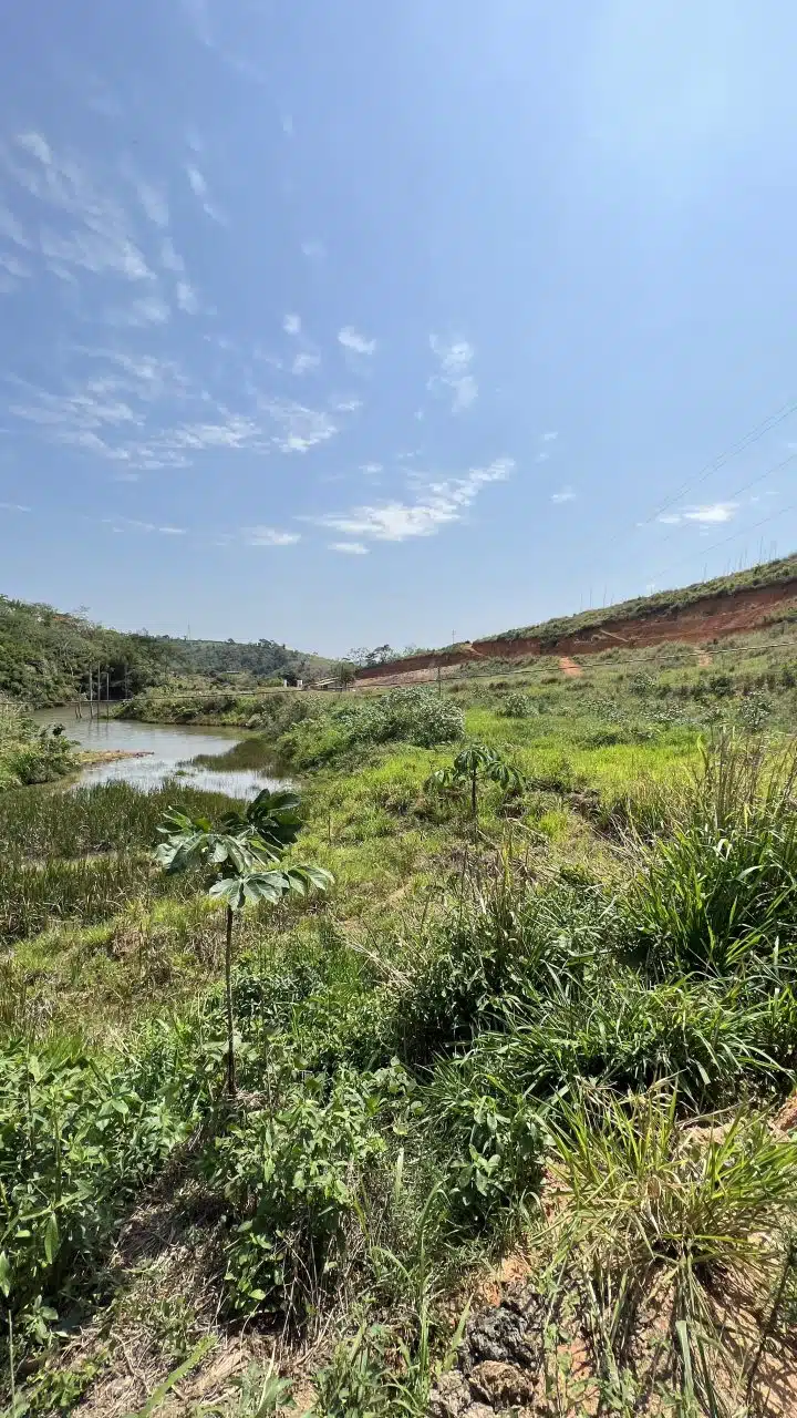 Recanto do Jequitibá