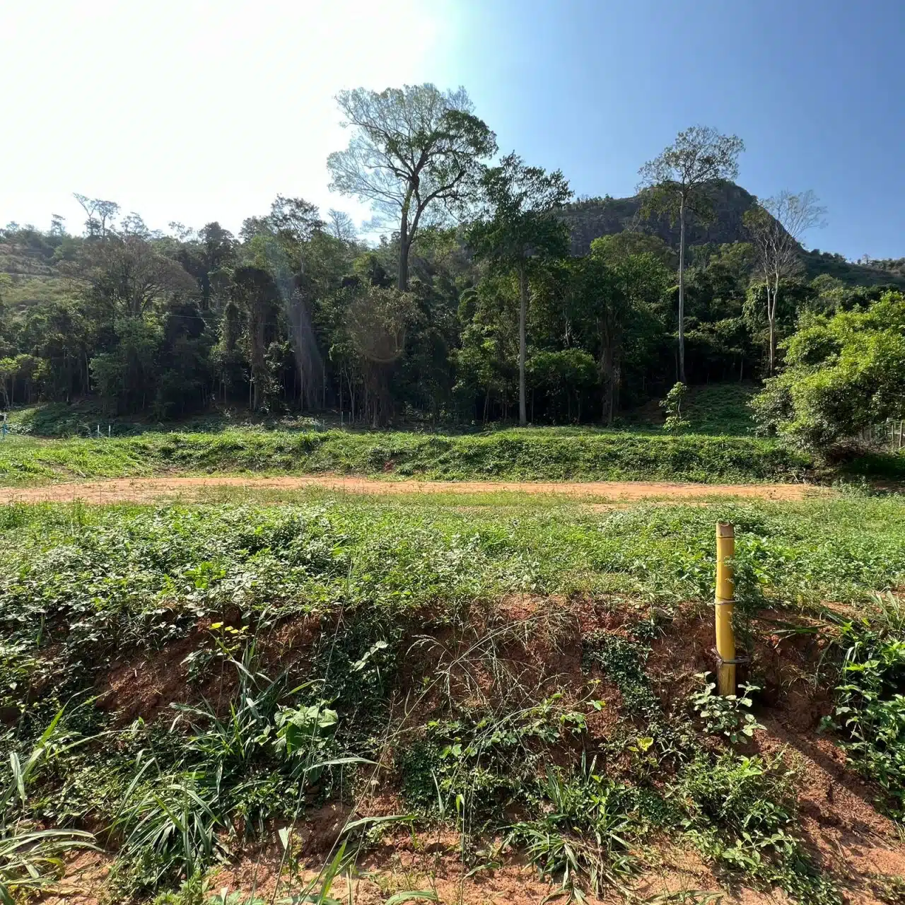 Recanto do Jequitibá