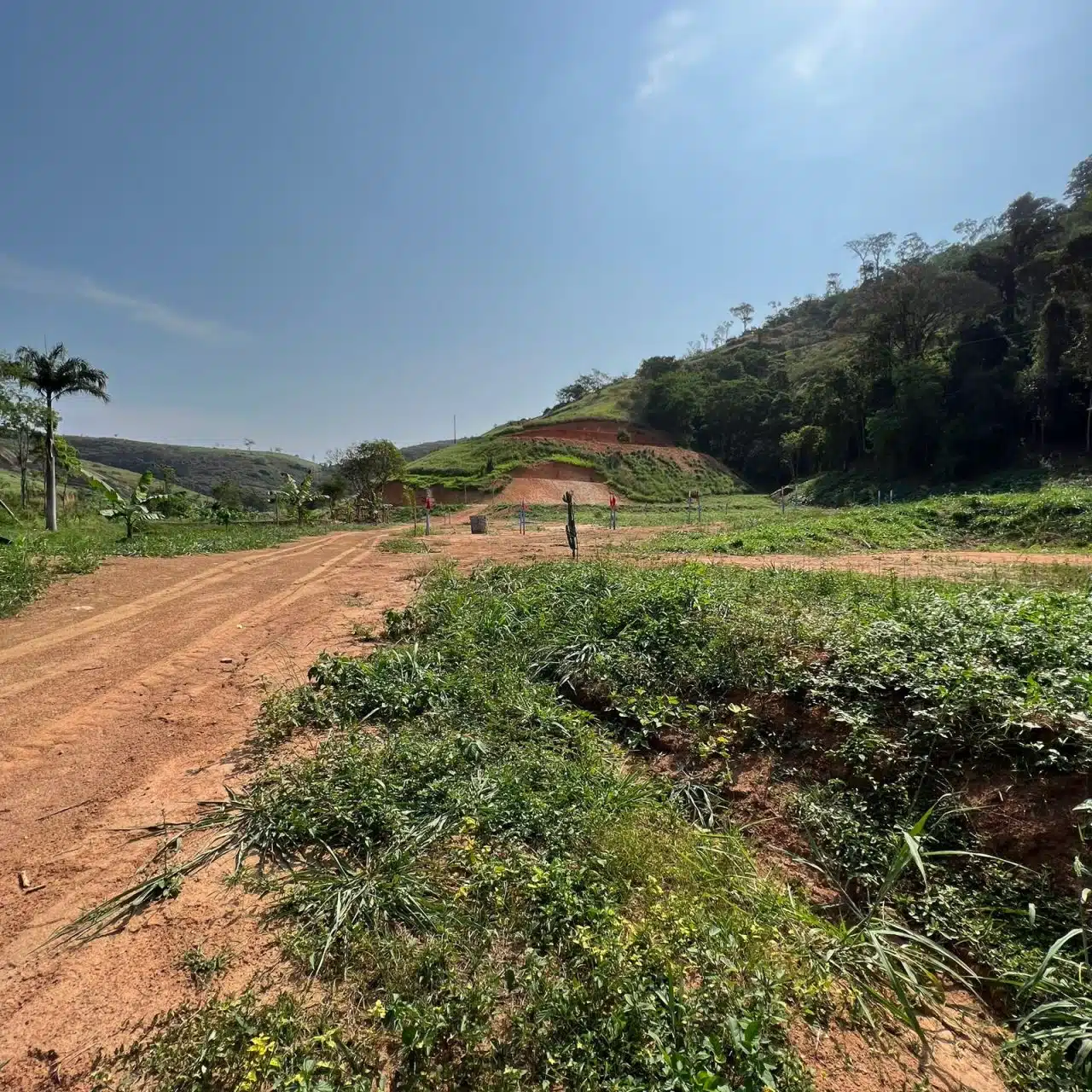 Recanto do Jequitibá