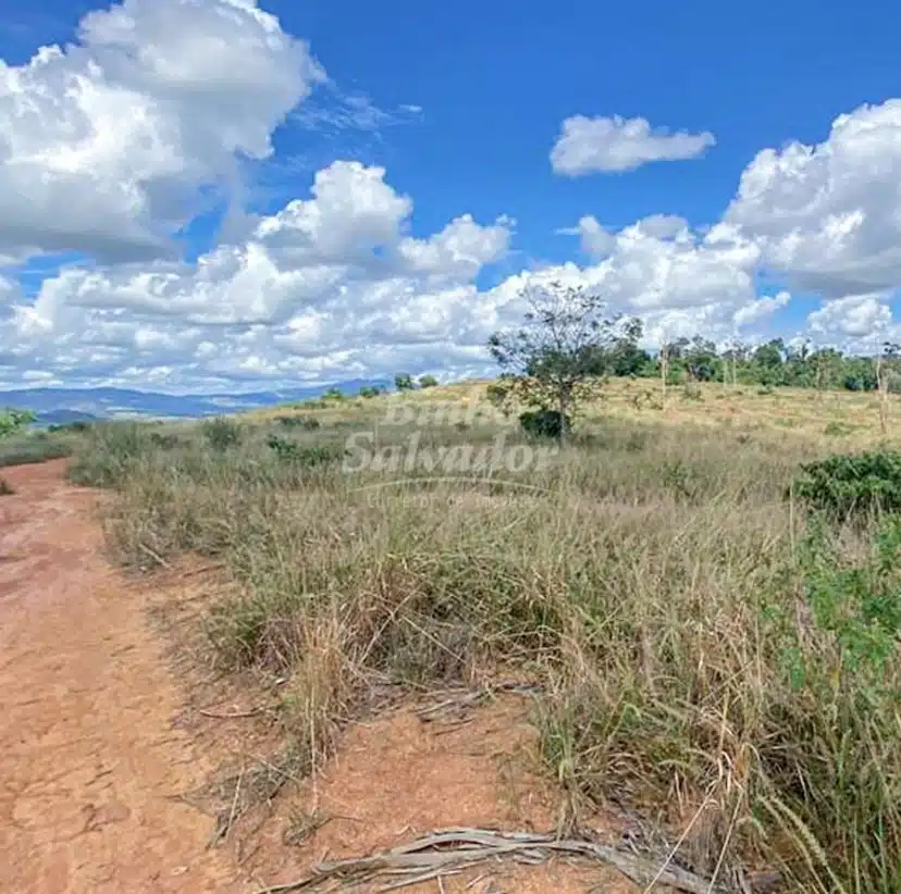 Terreno Rural