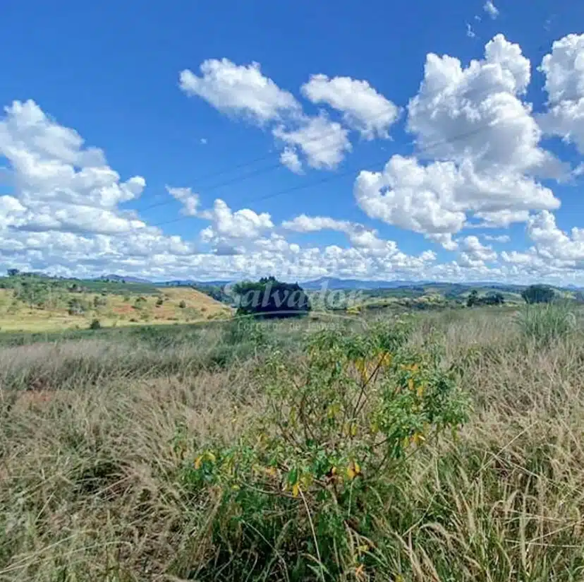Terreno Rural
