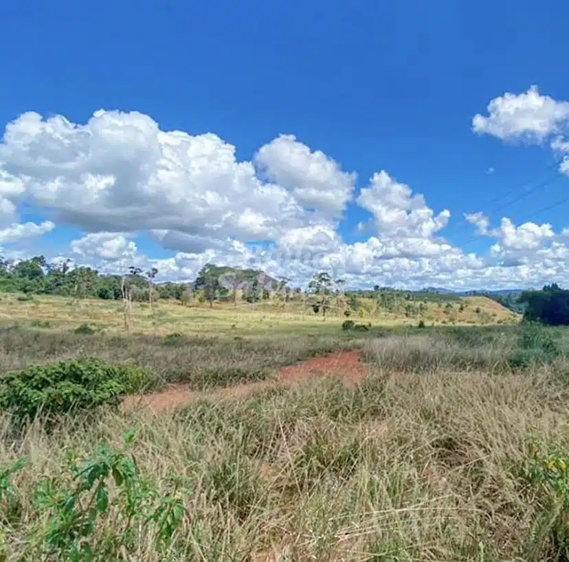 Terreno Rural