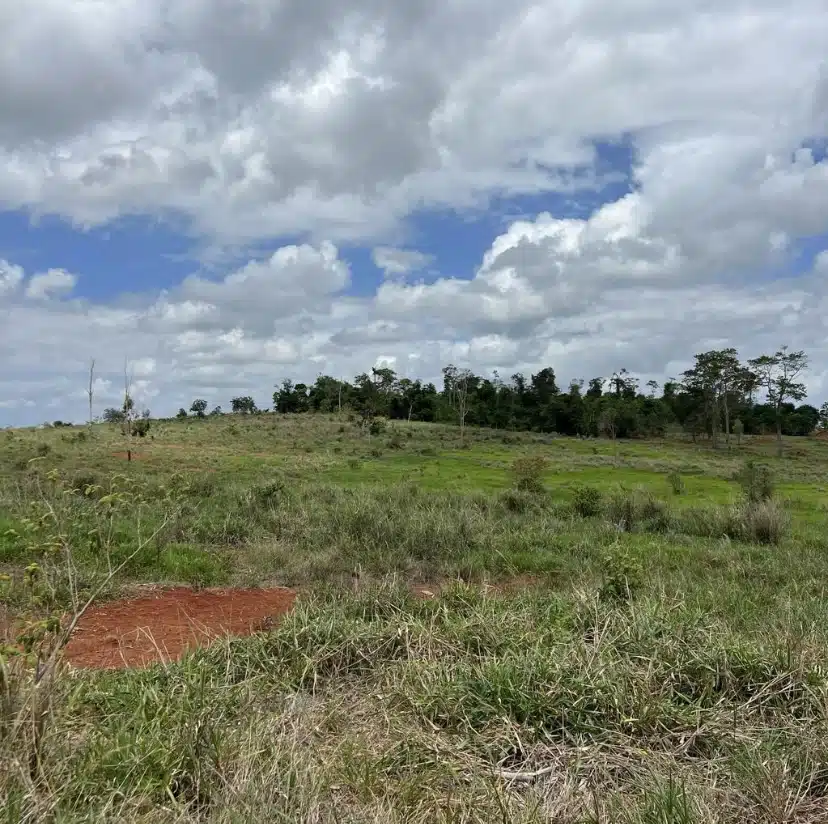 Terreno Rural