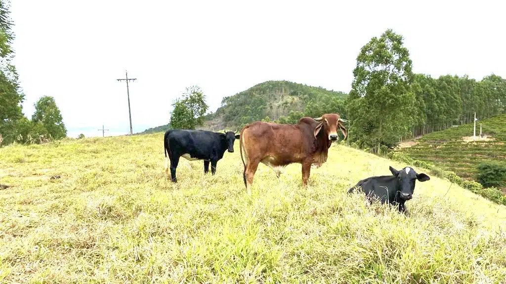 Sítio São Pedro Frio