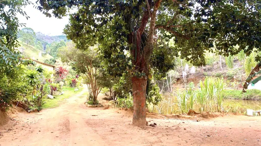 Sítio São Pedro Frio