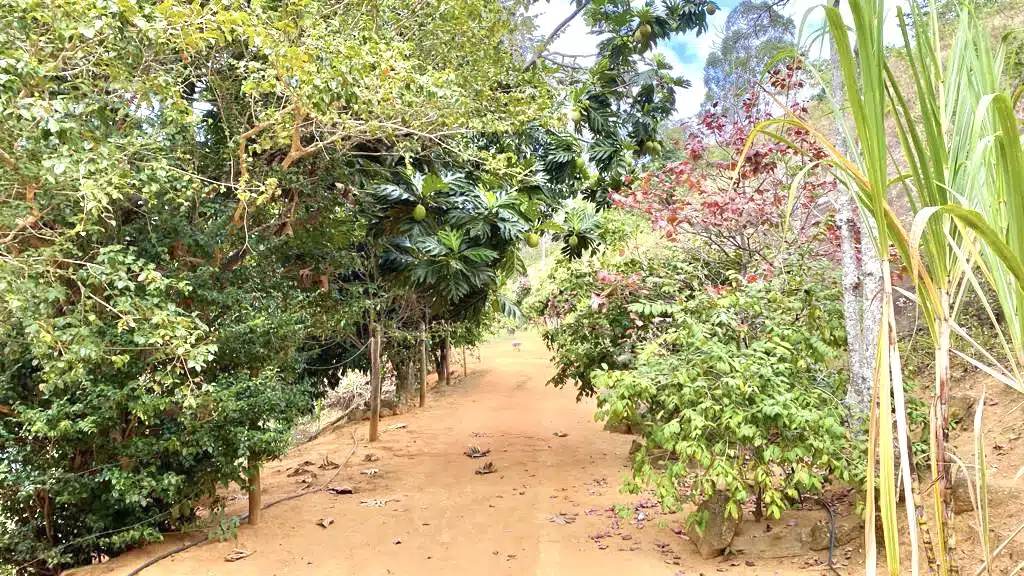 Sítio São Pedro Frio