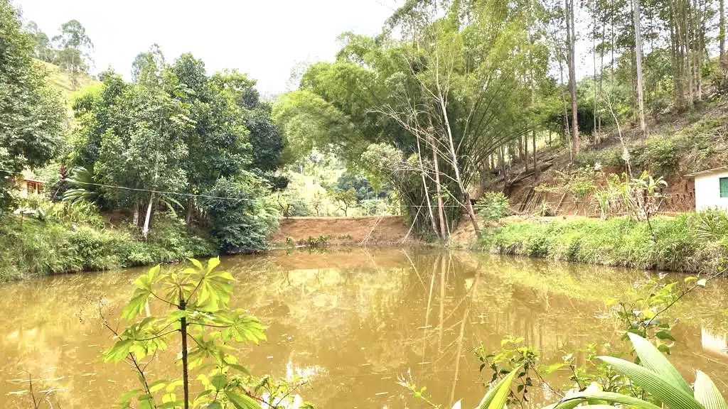 Sítio São Pedro Frio