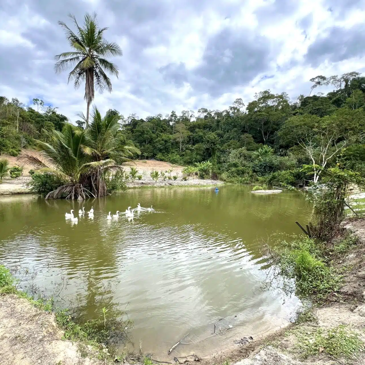 Chácara Colatina