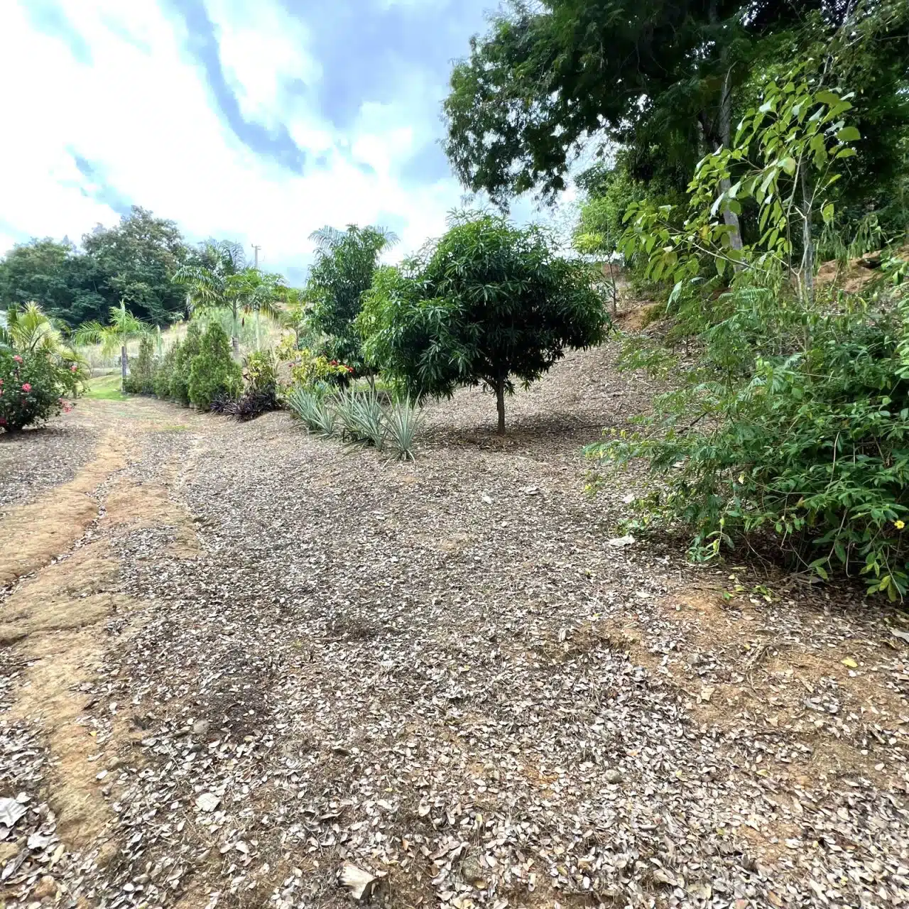 Chácara Colatina