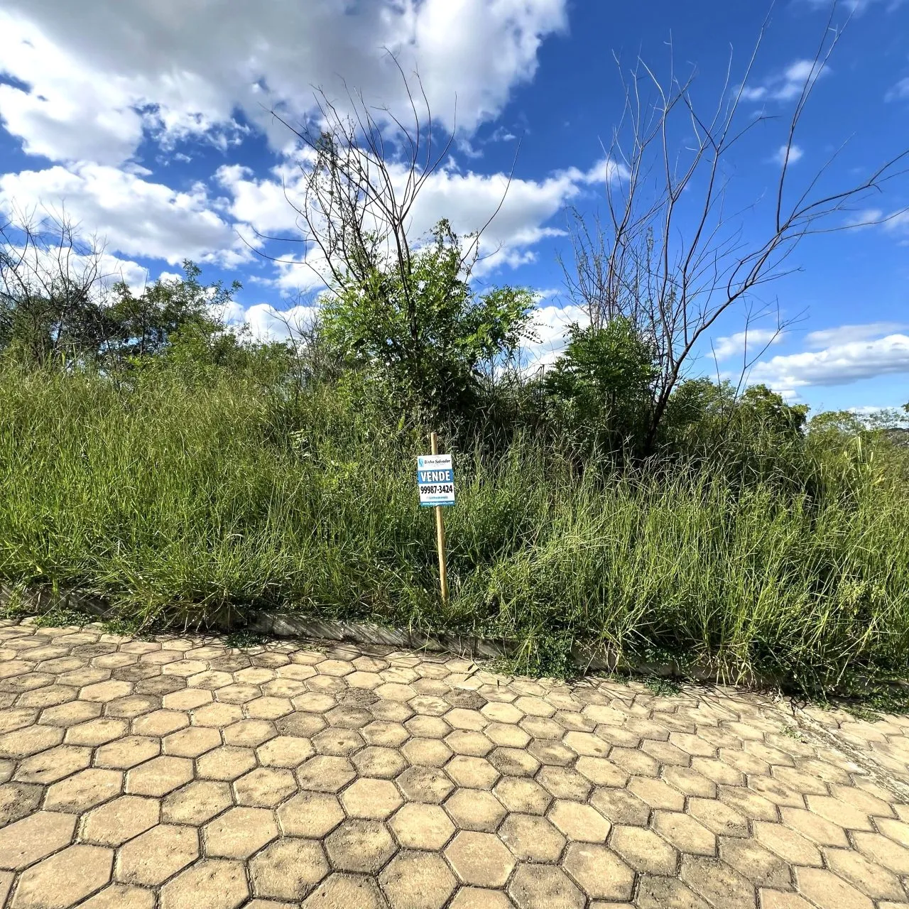 Lote plano