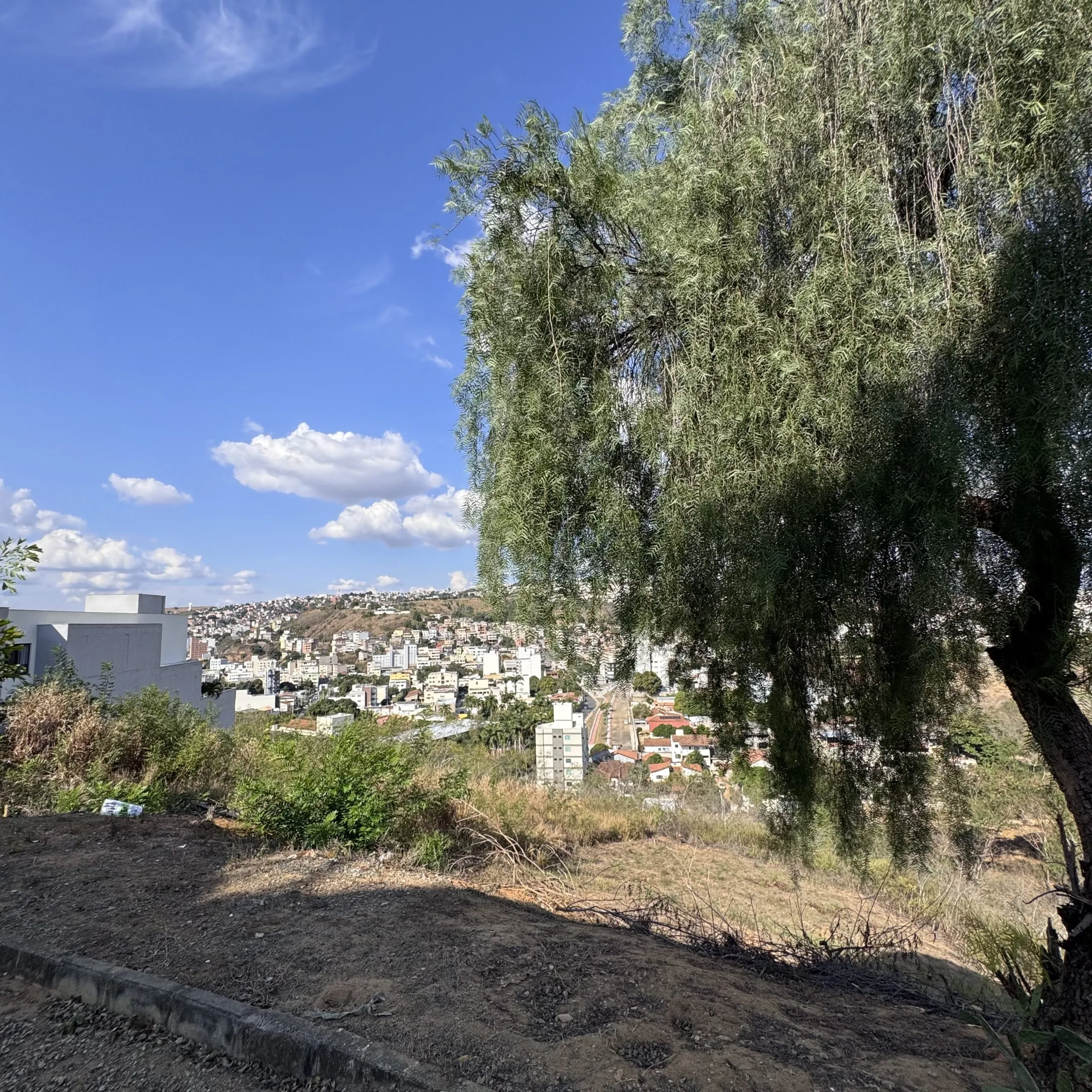 Lote Noêmia Vitali